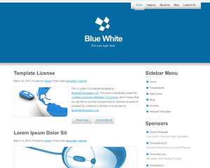 BlueWhite Website Template